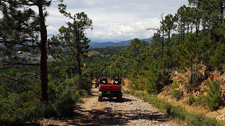 Buggy dans l'Esterel