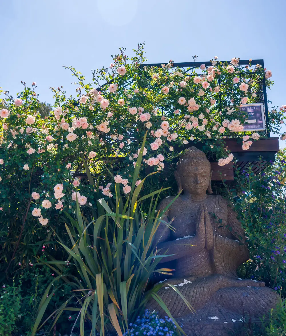 Buddha under the roses – Esterel Caravaning